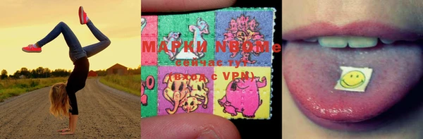 амф Арсеньев
