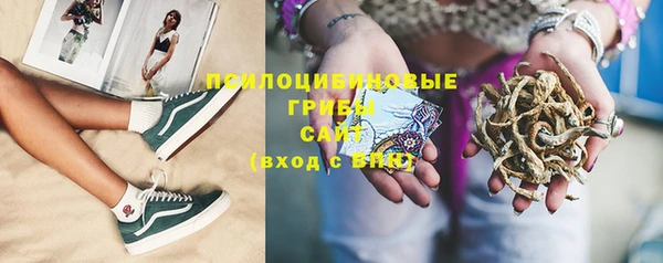 дурь Пестово