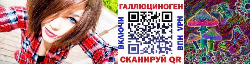 Псилоцибиновые грибы Psilocybe kraken Гай